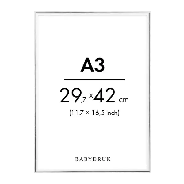 Silver frame a3